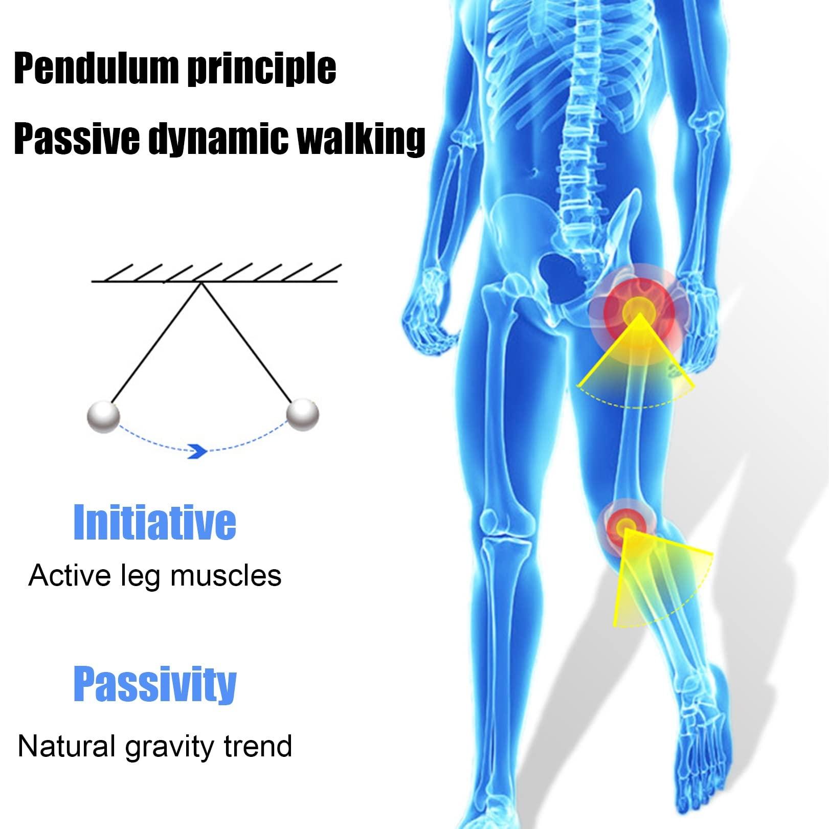 IINCOOY IINCOOY Walking Aid Bionic Body Power Walking Aids Stroke Hemiplegia Walker Lower Limb Rehabilitation Training Leg Walking Training Tool (Color : Right, Size : Large)