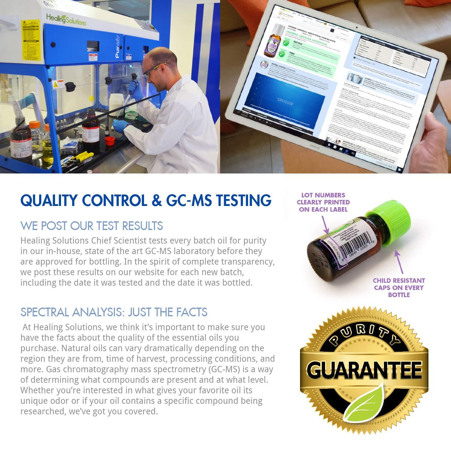 It's Delish California Walnut Halves & Pieces, Raw, Shelled Walnuts by It's Delish, Bulk | 100% All Natural Raw Unsalted Nuts for Keto Baking and Snacking (5 lbs)