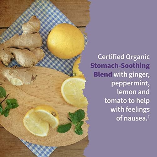 Garden of Life Garden of Life Womens Prenatal Multivitamin with Vitamin D3, B6, B12, C & Iron & - Dr. Formulated Probiotics Once Daily Prenatal