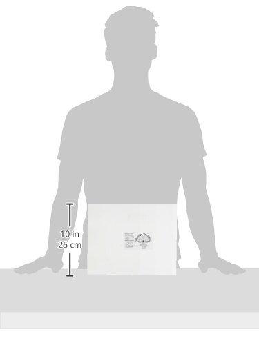 Whimsical Practicality Whimsical Practicality Cute Curious George Monkey Edible Icing Image Cake Topper 1/4 Sheet