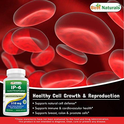 Best Naturals Best Naturals IP-6 510 mg 180 Capsules
