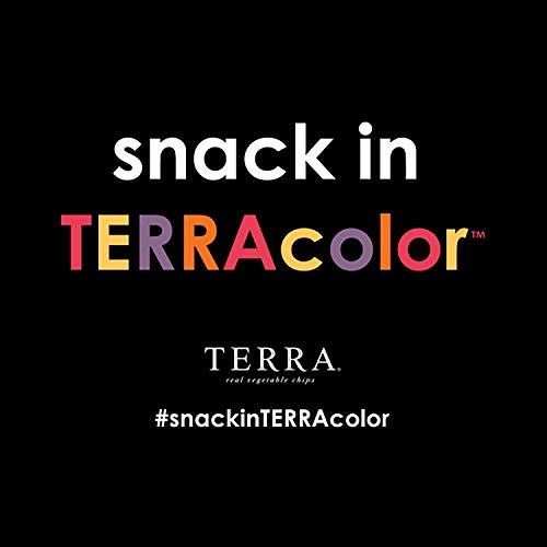 Terra Terra Vegetable Chips, Original Chips with Sea Salt, 6.8 Oz (Pack of 4)
