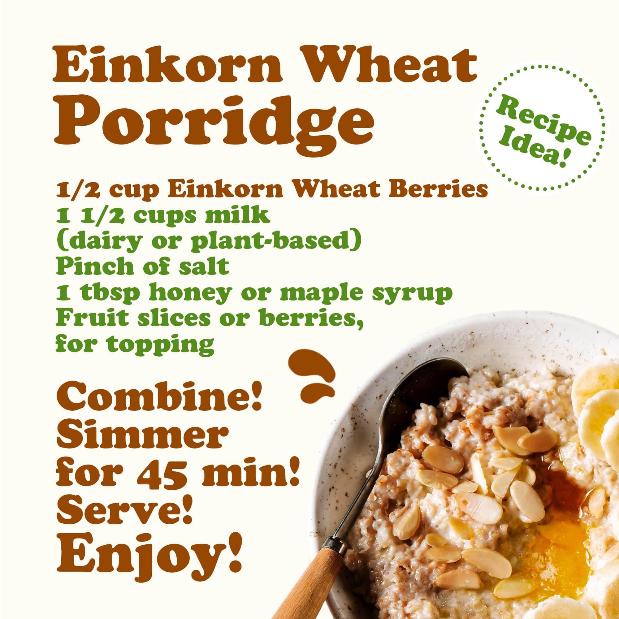 Food to Live Food to Live - Organic Einkorn Wheat Berries, 12 Ounces Non-GMO, Good Source of Protein, Fiber, and Vitamins. Low-glycemic Index. Kosher