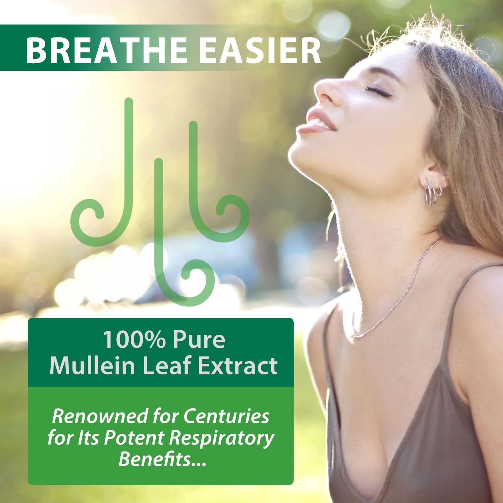 MXCZBSM Mullein Leaf Extract for Lungs, Mullein Drops for Lungs, Support Lung, Respiratory Function for Healthy Breathing, Improvement in Pulmonary Function, Natural & Safe Supplement (1 PC)