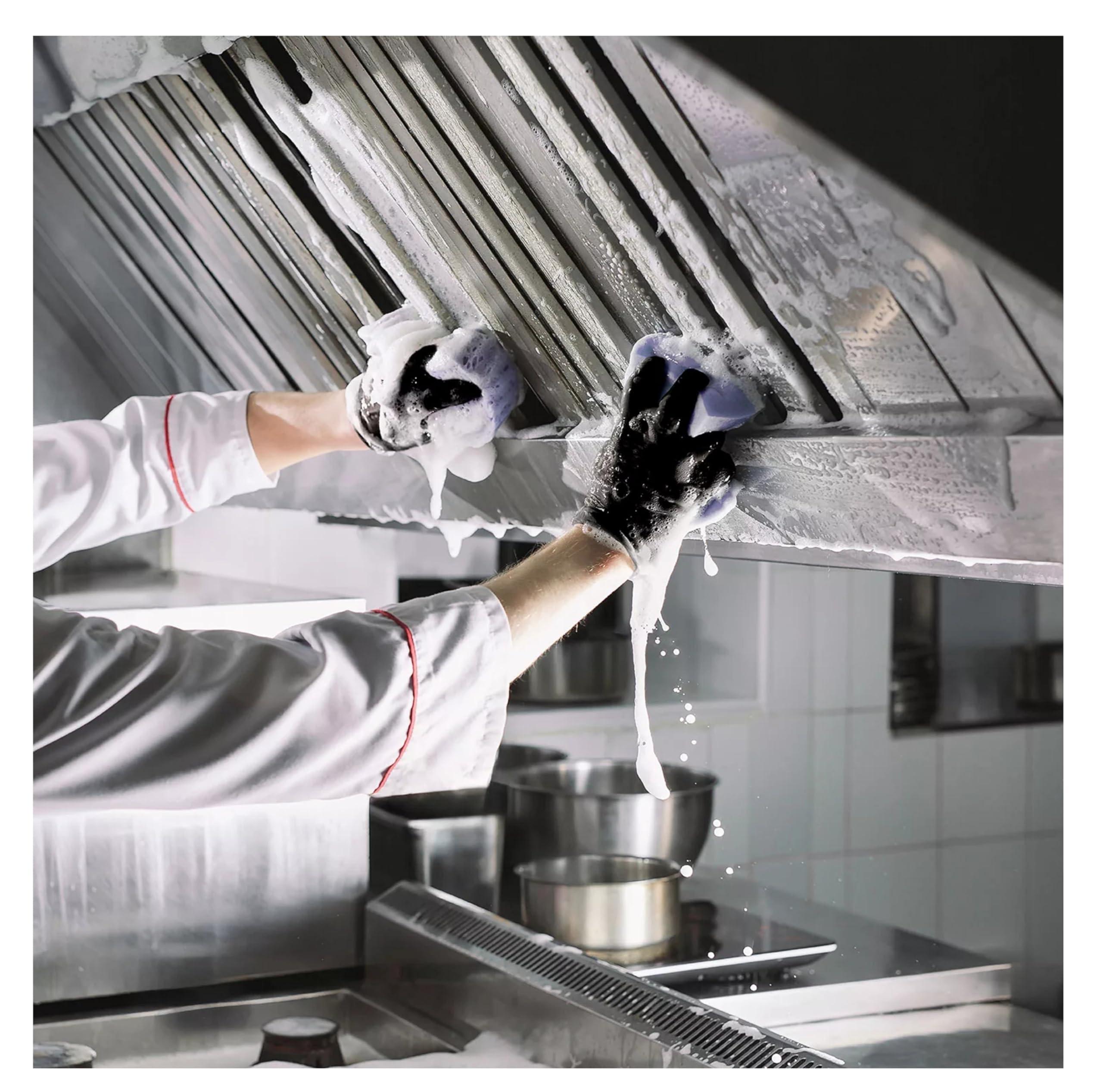 Member's Mark Member's Mark Heavy Duty Degreaser Net Wt (127.8 Fl Oz),