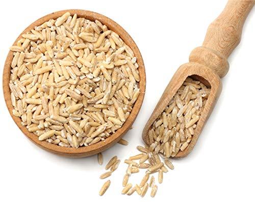 Food to Live Food to Live Organic Oat Groats, 5 Pounds 100% Whole Grain, Non-GMO Seeds, Kosher, Raw, Non-Irradiated, Vegan, Bulk, Low Glycemic, Rich in Protein, Fiber, Copper and Manganese