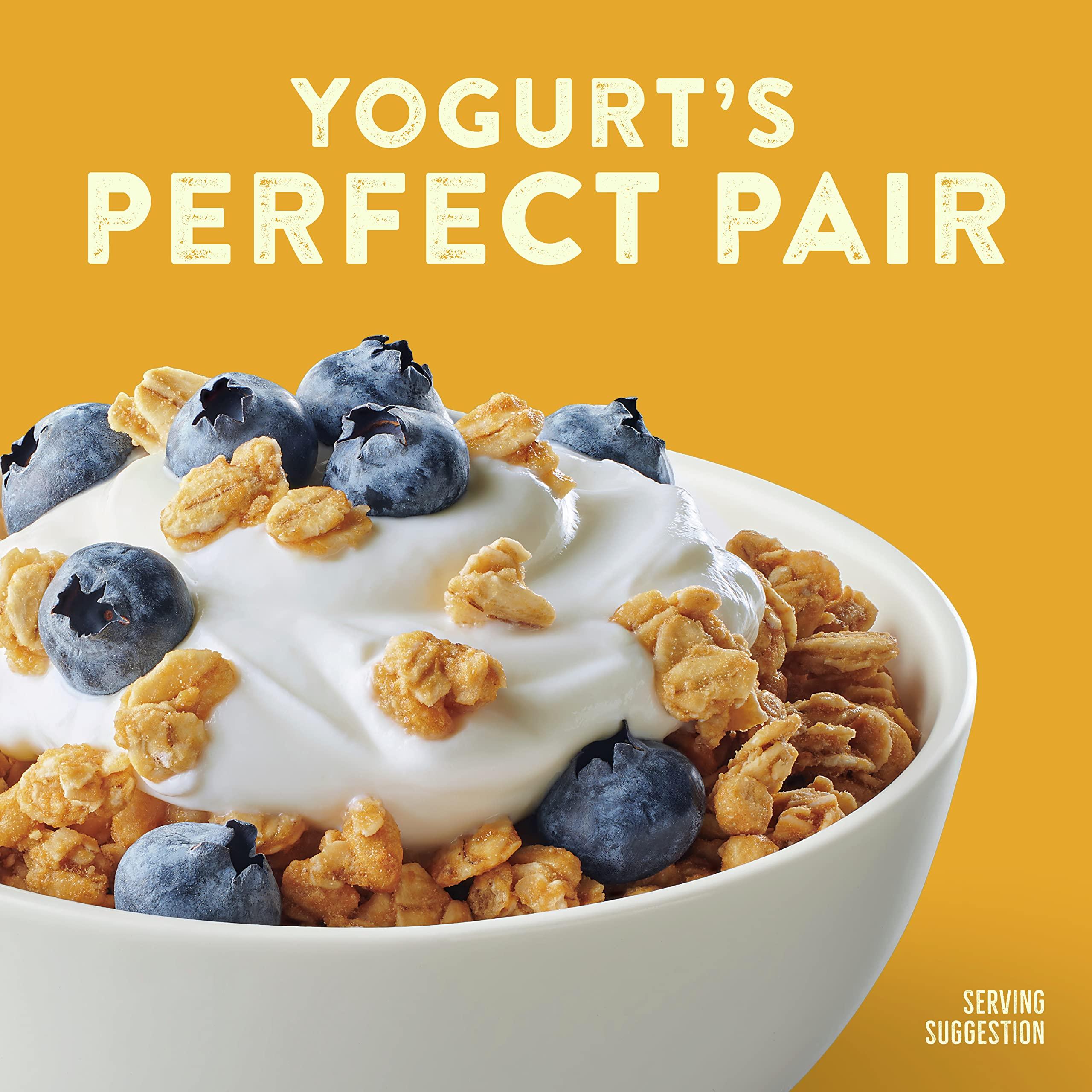 Nature Valley Nature Valley Protein Granola, Oats and Honey, Family Size, Resealable Bag, 17 OZ