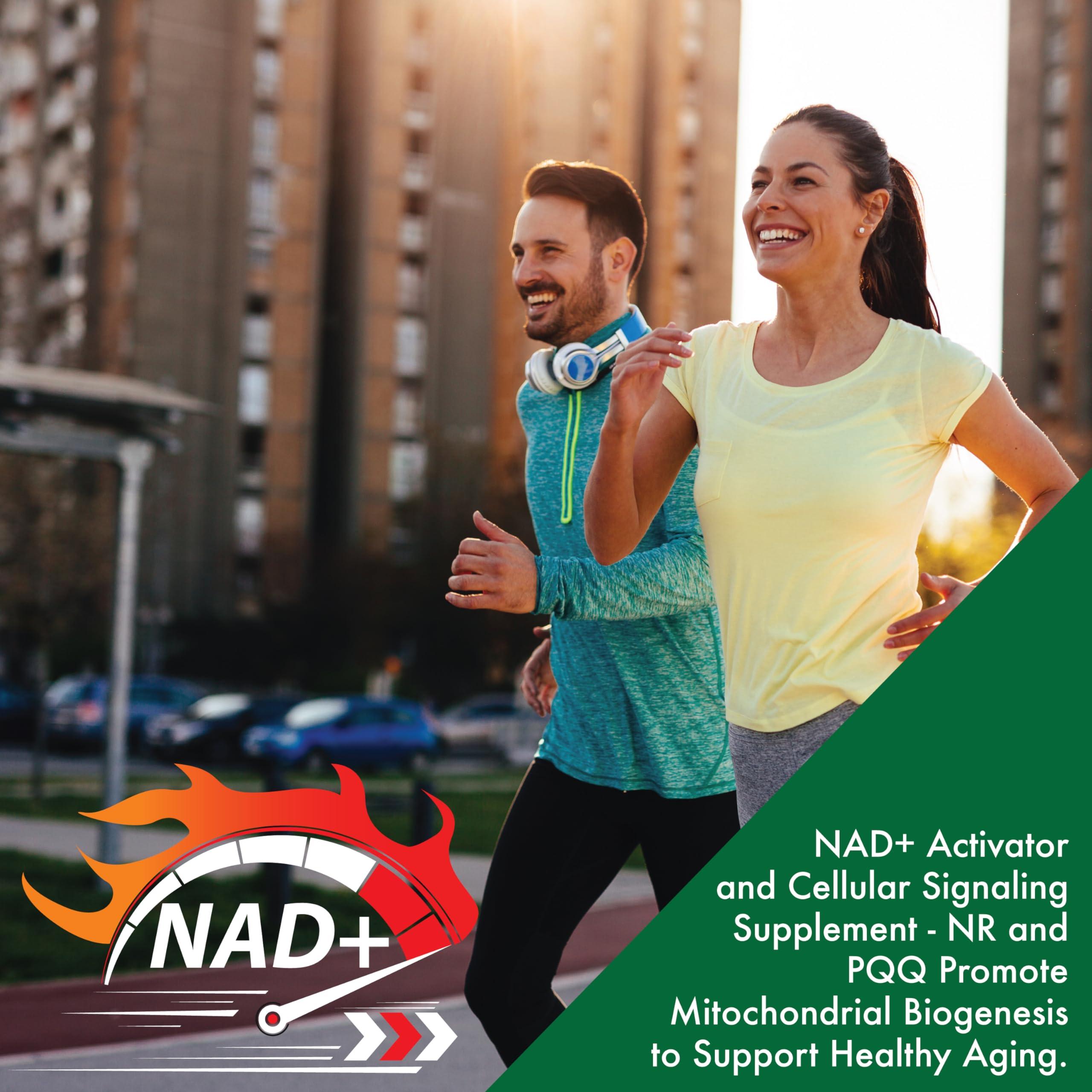 Health Thru Nutrition Health Thru Nutrition NAD+ Activator | NR with PQQ | 300mg Nicotinamide Riboside + 20mg PQQ | Mitochondria Maximizer | Non-GMO | Pack of 60