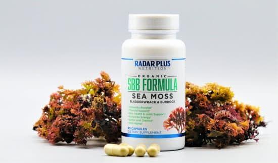 Radar Plus Nutrition Radar Plus Nutrition The Sbb Formula Capsule Nutritional Supplement with 60 Capsules in White