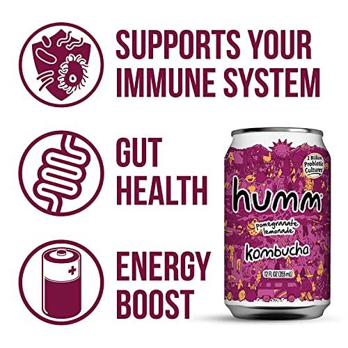 Humm Humm Kombucha Pomegranate Lemonade - Organic, Vegan & GMO-Free (12 Pack)