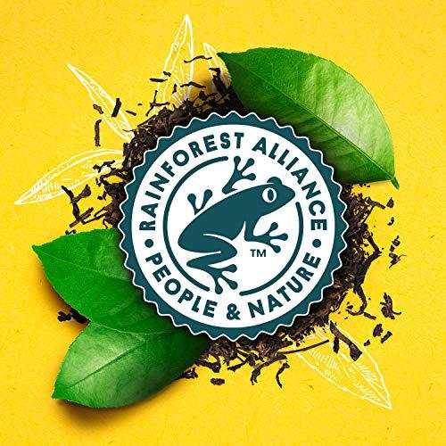 Lipton Lipton Iced Tea, 12 Count (Pack of 6)