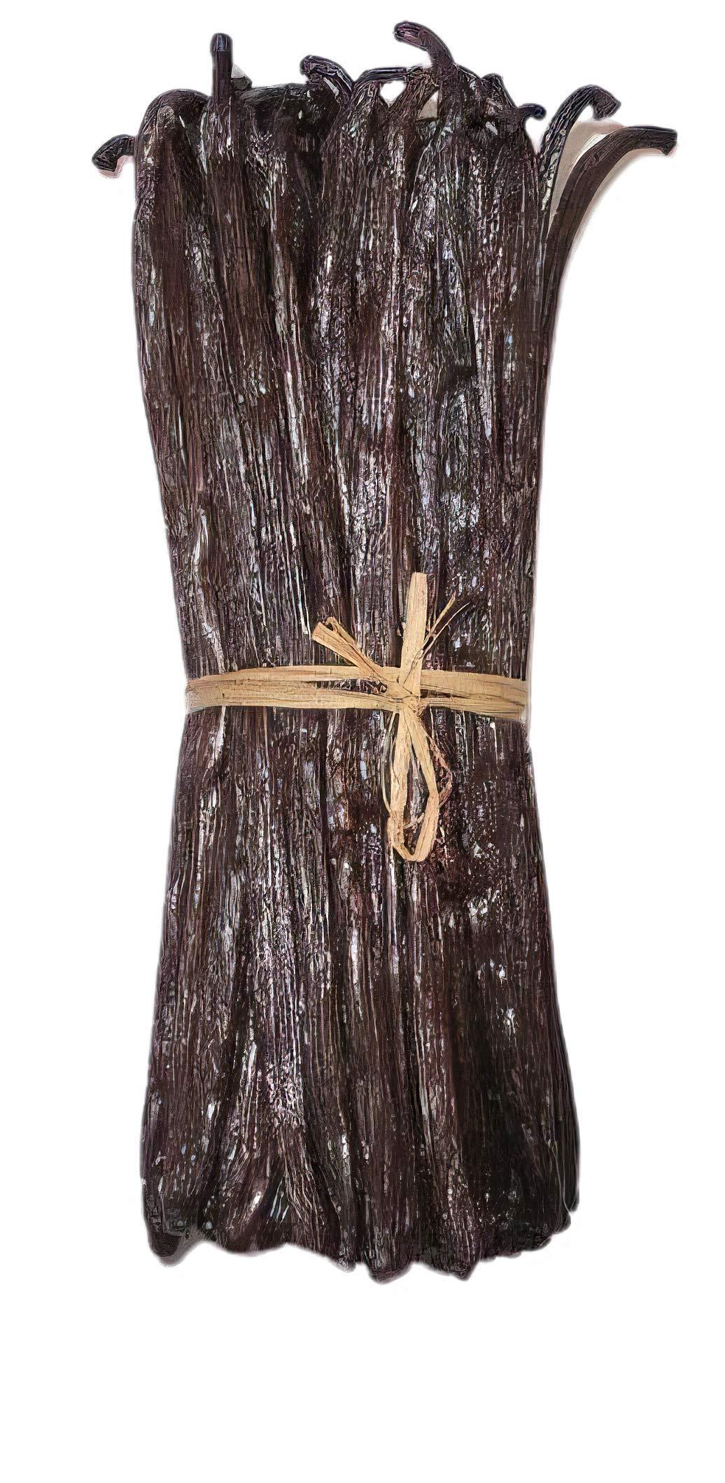 FITNCLEAN HERBS AND SPICES 10 Organic Madagascar Vanilla Beans Grade A/B. Certified USDA Organic. 5\"-7\" by FITNCLEAN VANILLA for Extract and Everything Vanilla.