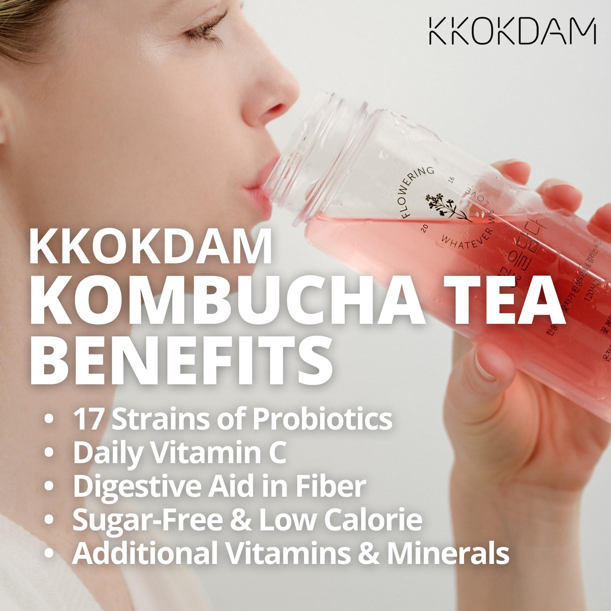 KKOKDAM KKOKDAM Kombucha Tea 15 Packs - Lemon & Chrysanthemum Korean Tea - Kombucha Drinks Probiotic Support, Low Calorie, Sugar Free Kombucha Pack - 15 Kombucha Drink