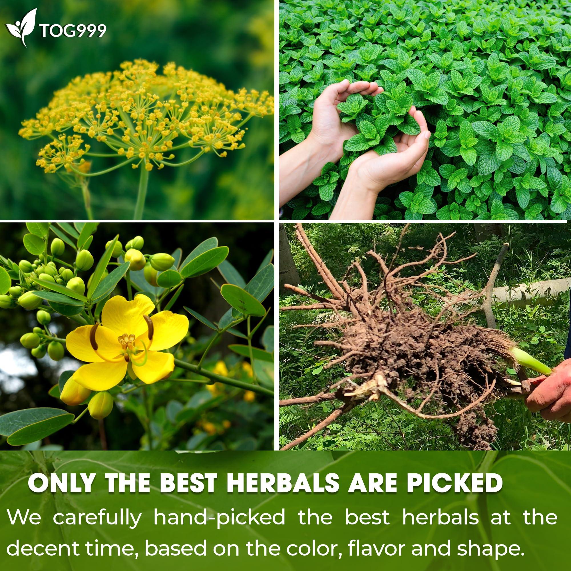 TOG999 100 Tea Bags Relieves Constipation Natural Tea, Blend of Senna Leaves - Peppermint - Licorice - Fennel, 100% Natural Ingrendients, Hand-made Herbal Tea, No Sugar, No Caffeine, No Gluten, Vegan.