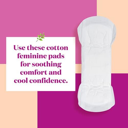 The Honey Pot Company The Honey Pot Company Clean Cotton Regular Absorbency Pads, Herbal-Infused Pads with Wings, Plant-Derived Feminine & Menstrual Care. (Product) RED – 20 ct.