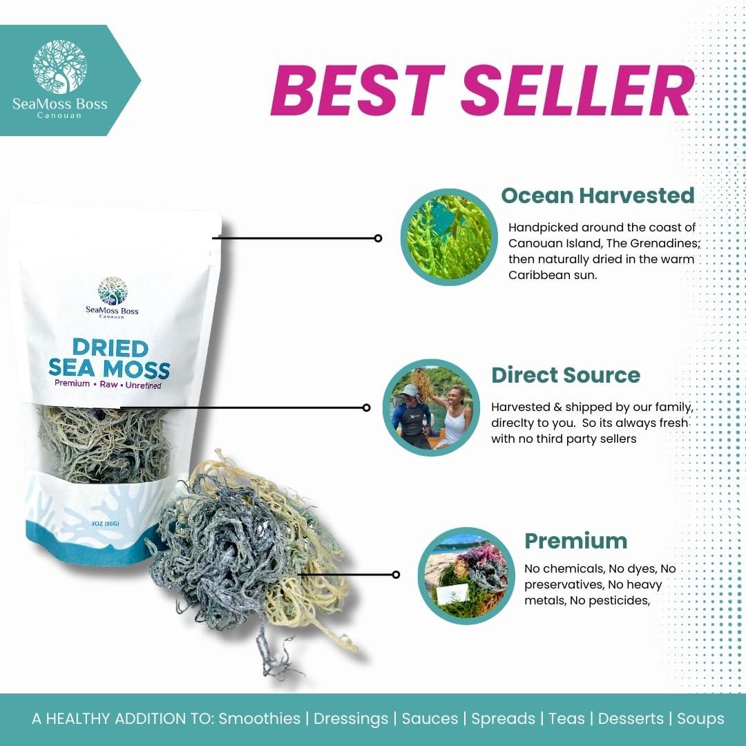 SeaMoss Boss Canouan SeaMoss Boss Canouan | Dried green sea moss | ocean harvested and sun-dried in the remote Grenadine Islands | Easy to use | Makes 300oz sea moss gel