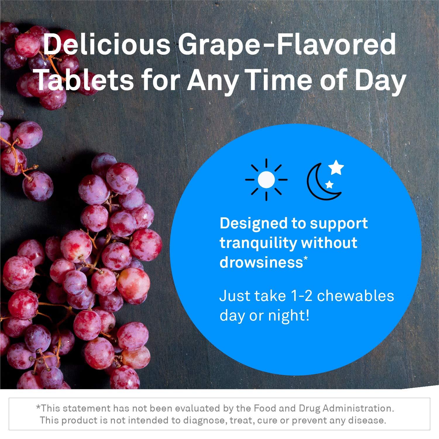 NeuroScience Neuorscience GABA Trex L Theanine Supplement - Calm Aid for Daytime Stress Support & Evening Relaxation - Chewable Grape-Flavored Tablets - Vegan & Non-GMO (60 Tablets)