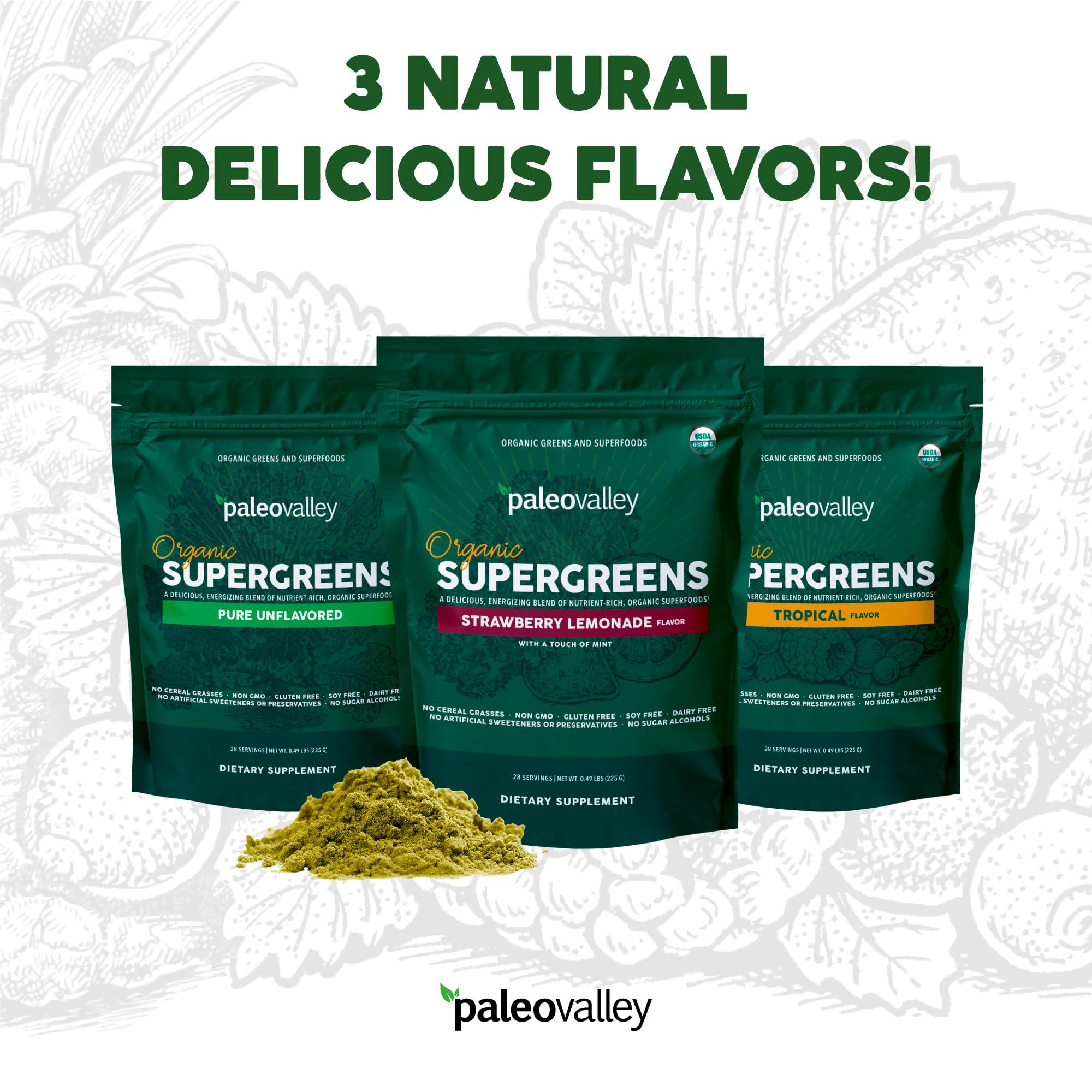 Paleovalley Paleovalley Organic Supergreens Powder - 23 Superfoods with Prebiotic Fiber for Energy and Immunity Support - No Cereal Grasses for Maximum Absorption - Tropical, 30 Servings