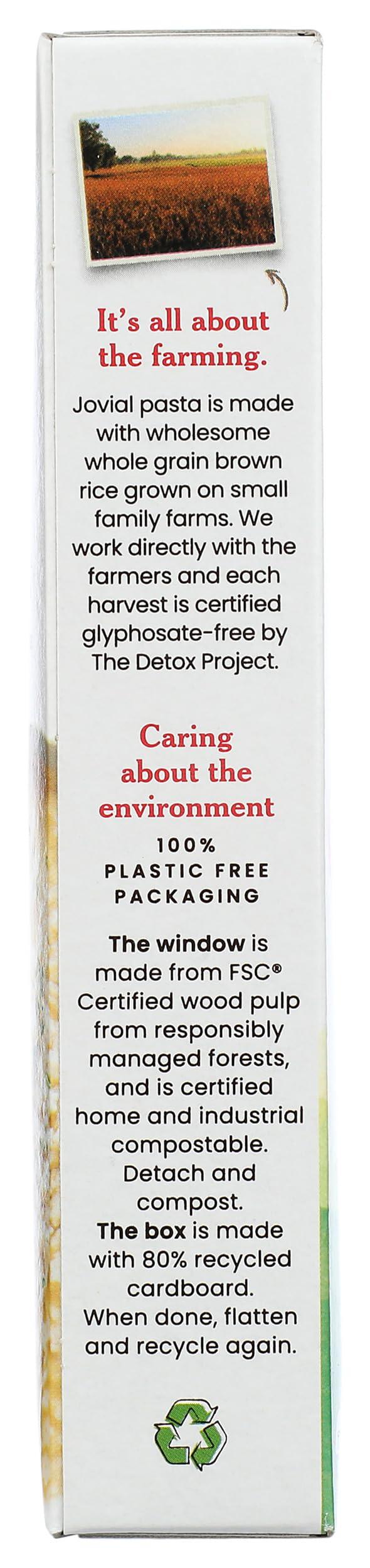 Jovial JOVIAL Organic Brown Rice Stelline Pasta, 12 OZ