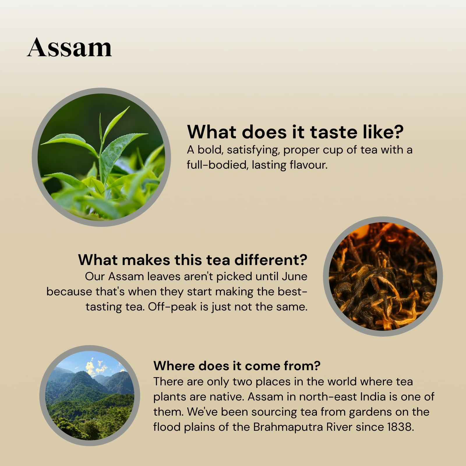 Twinings Twinings Assam Tea 80 (Pack of 4)