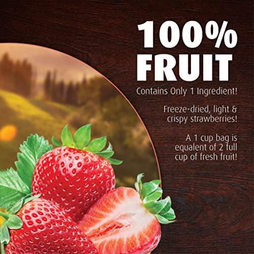 Brothers-ALL-Natural Brothers All Natural, Strawberry Freeze Dried Fruit Crisps, Gluten Free, Non-GMO, Nothing Added, 1 oz. Resealable Pouch (Pack of 8)