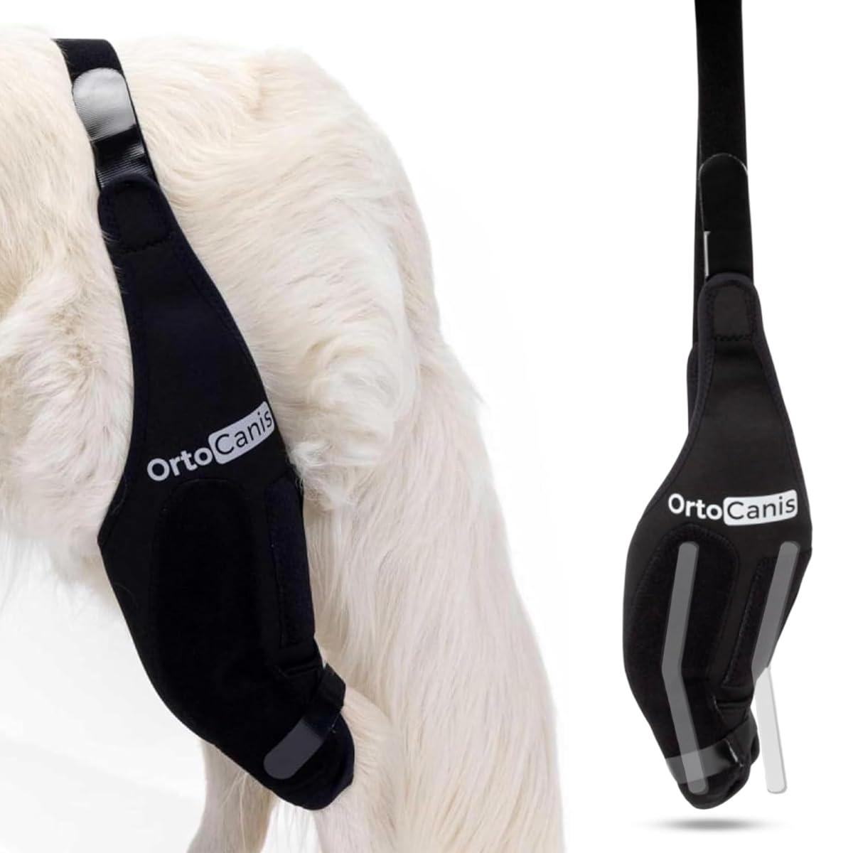 Ortocanis Ortocanis Dog Knee Brace for Torn Acl Hind Leg, Ligament Rupture and Patella Luxation - Dog Acl Knee Brace - Dog Braces for Back Leg for Support - Dog Back Leg Support Brace (Size XL, Left Leg)