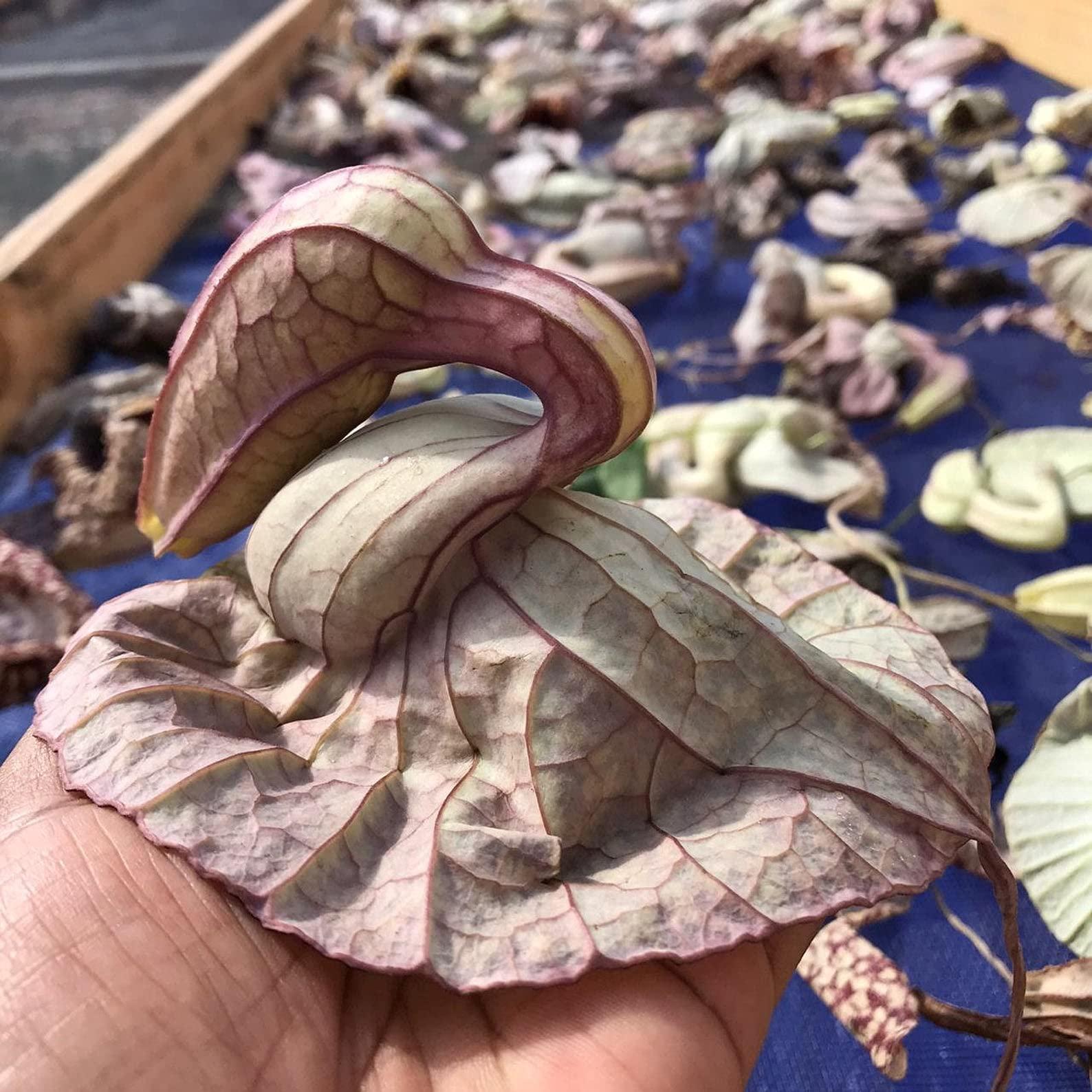 Jahno Herbs Jamaican Duck Flower Detox