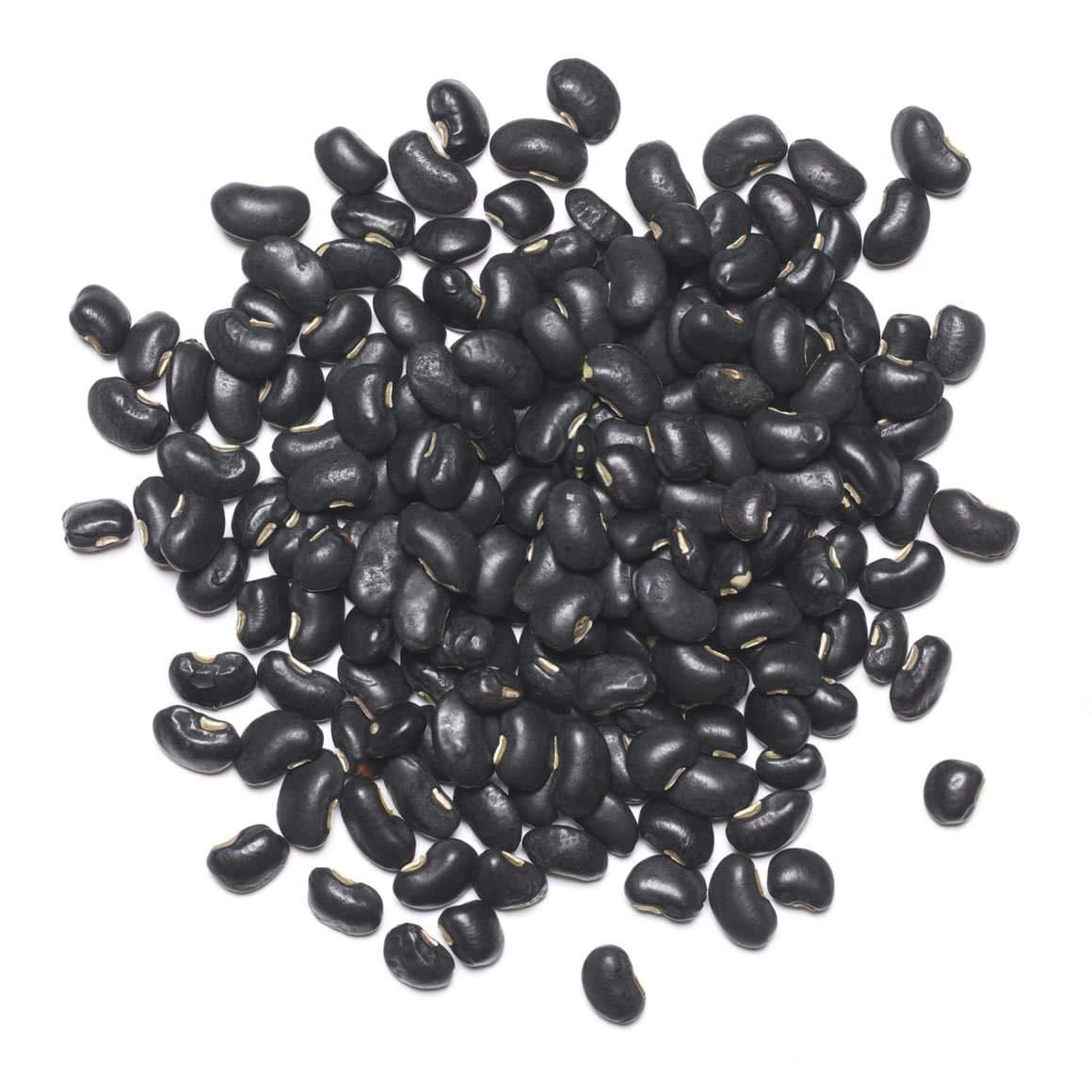 Food to Live Food to Live - Organic Black Beans, 25 Pounds Non-GMO, Whole Dried Beans, Sproutable, Vegan, Kosher, Bulk. Great Source of Plant Based Protein, Fiber. Great for Bean Soup, Salads, Chili.