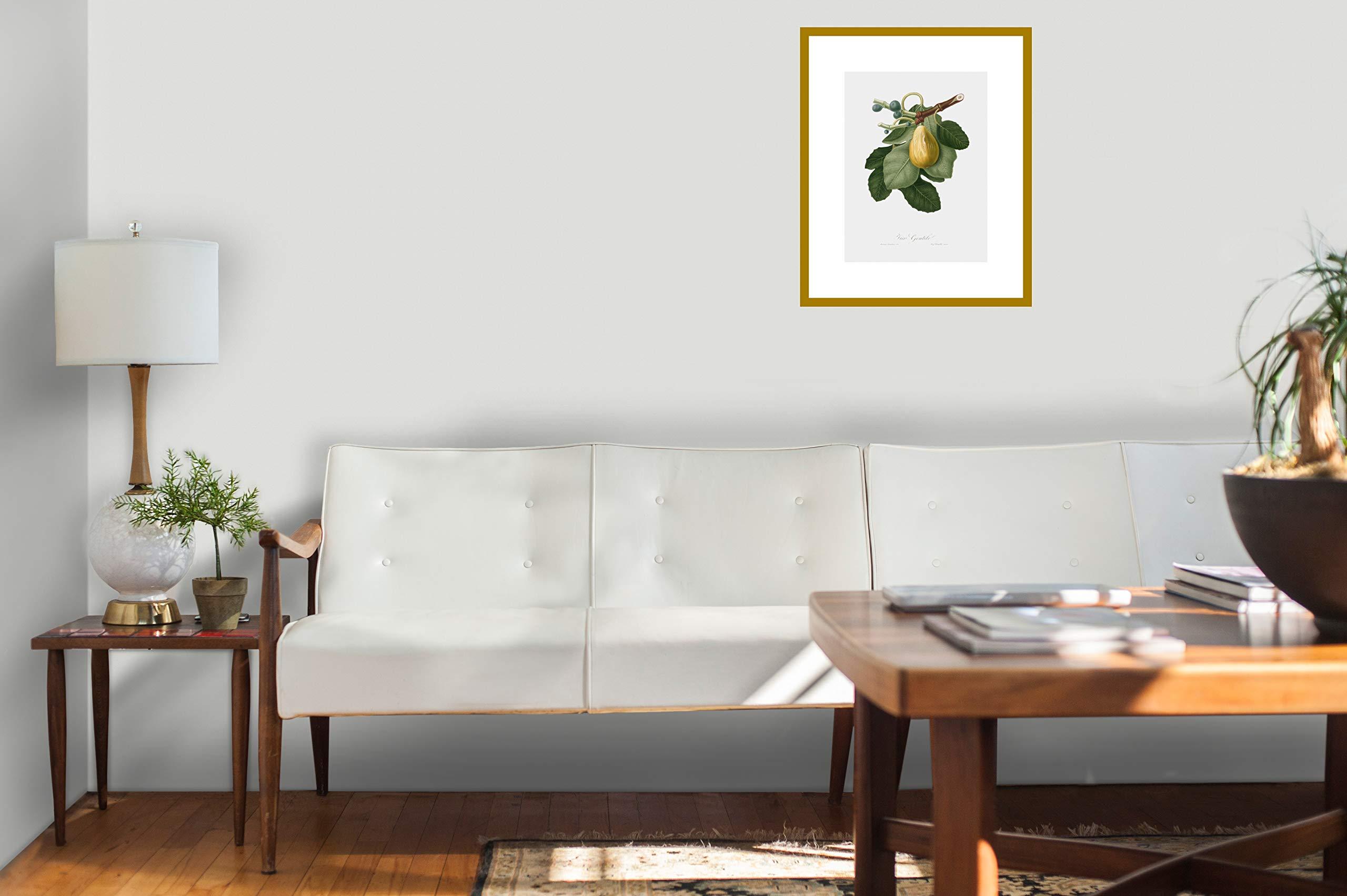 SpecialTea Company Special Tea Golden Monkey Superior Organic Black Tea, Loose Leaf, 3 Ounce