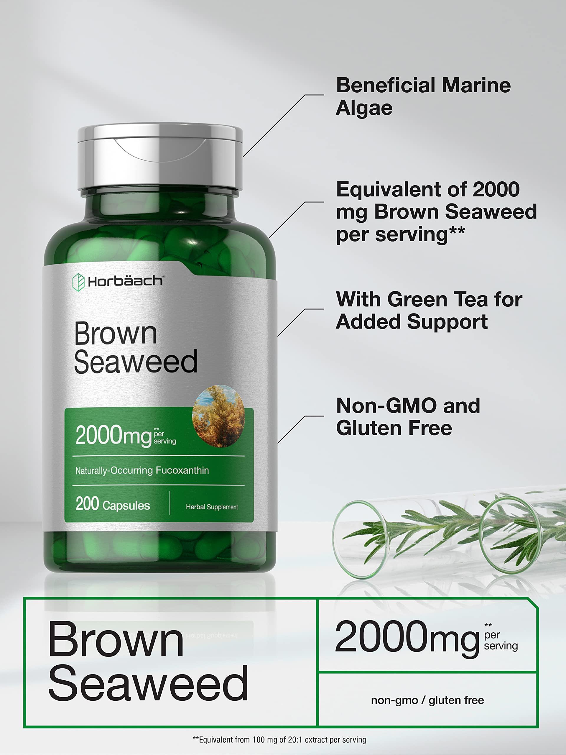 Horbach Horbach Brown Seaweed Extract Capsules 2000mg | 200 Pills | Fucoxanthin Supplement | Non-GMO, Gluten Free