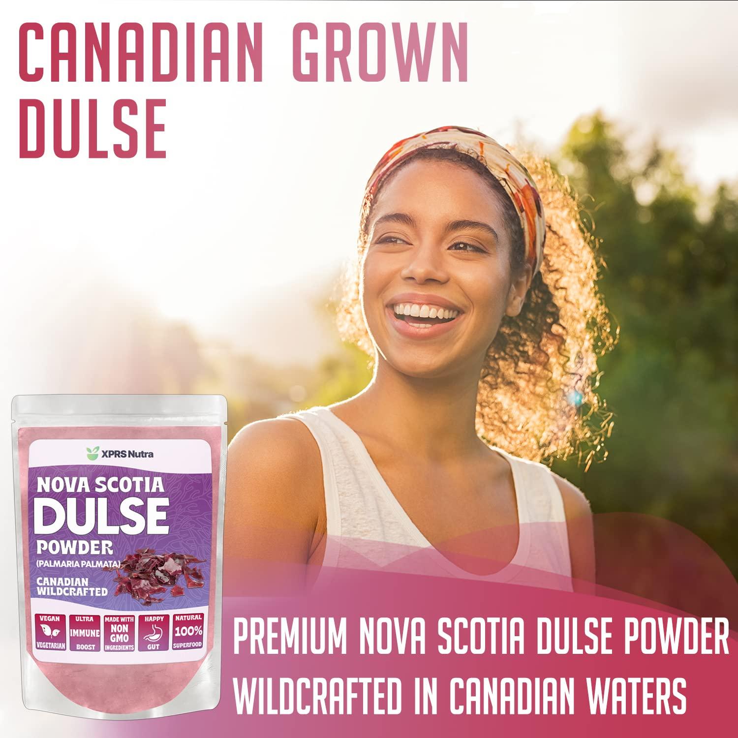 XPRS Nutra XPRS Nutra Dulse Powder (Palmaria Palmata) - Canadian Wildcrafted Nova Scotia Dulse Powder for Thyroid and Bones - Vegan Friendly Atlantic Dulse Powder (4 Ounce)