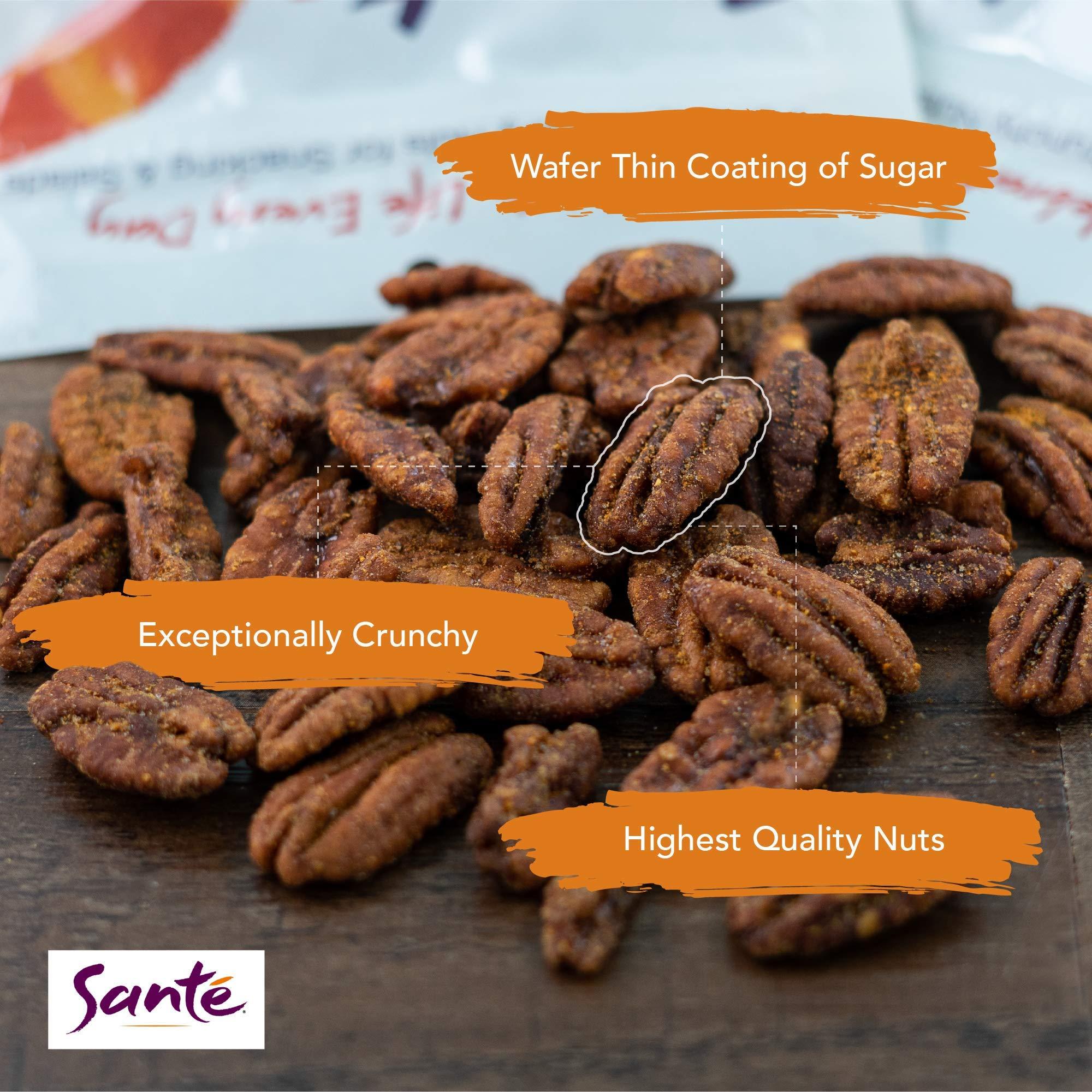 Sante Sante Sweet and Spicy Pecans | Gourmet Seasoned Nuts | All Natural, non-GMO | Gluten Free, Peanut Free | 6 Pack of 4 Ounce Resealable Bags