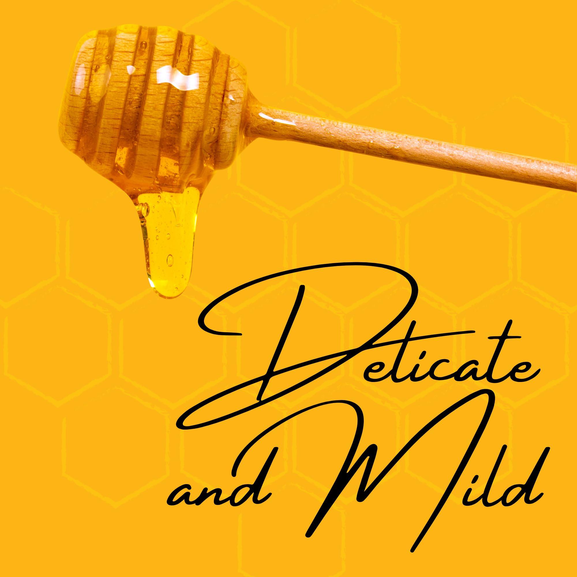 Arvoli Raw Honey 1 Gallon - Honey Bulk 12 LB Jug - Raw Wildflower Bulk Honey