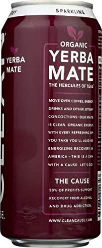 Clean Cause Clean Cause Sparkling Blackberry Yerba Mate - 16 Ounces (Case of 12)