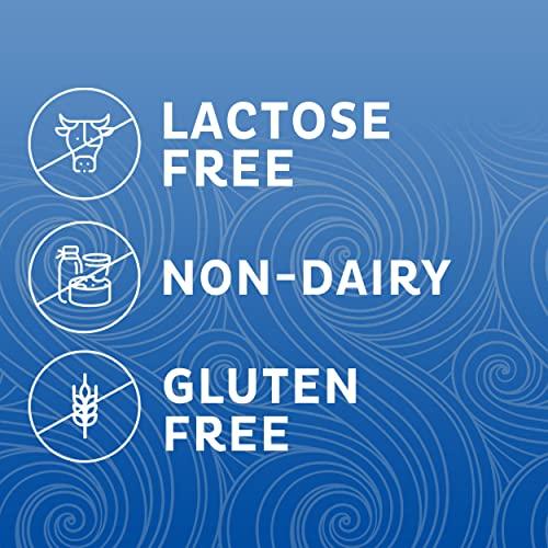 Coffee mate Nestle Coffee mate French Vanilla Powder Coffee Creamer 1 Pack (15 Oz)