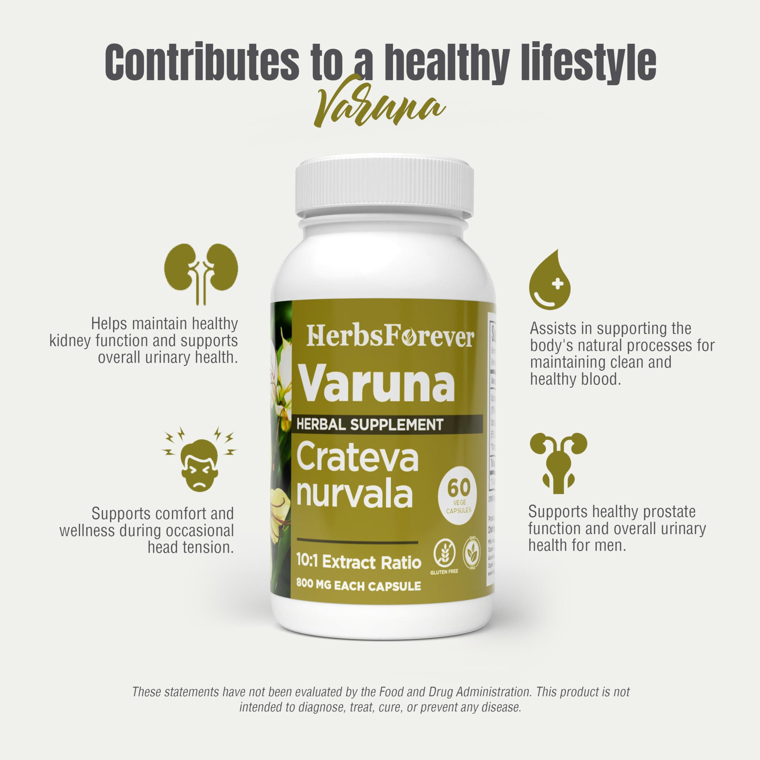 Herbsforever Herbsforever Varuna Nurvala Extract Capsules - Vegan & Gluten Free | Plant Based Supplement for Bladder & Kidney Function, 800 mg per Capsules (60 Nos)