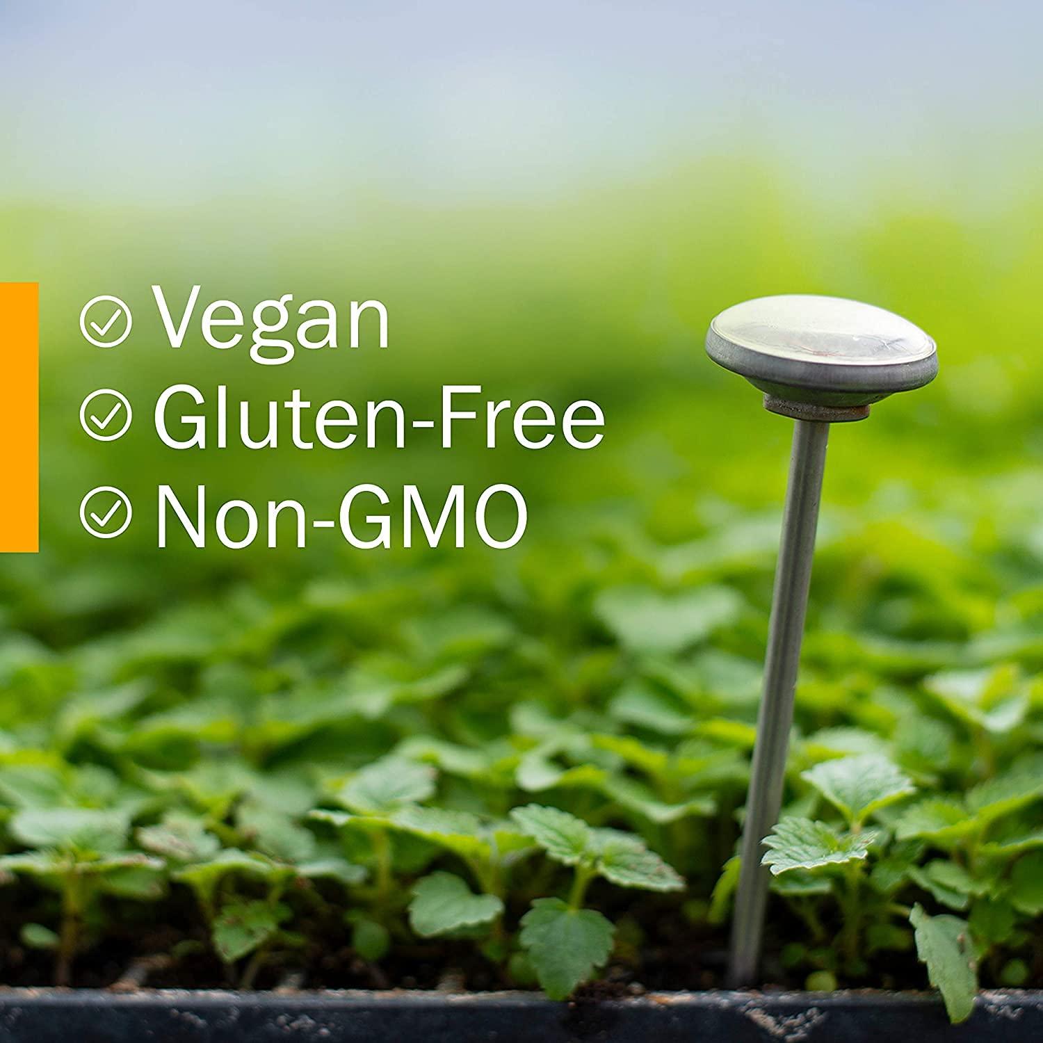 Herb Pharm Herb Pharm Propolis Liquid Extract for Immune System Support - 4 Ounce