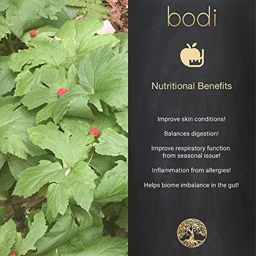 bodi bodi : Goldenseal Root 5:1 Extract Powder | 3oz to 5lb | 100% Pure Natural Hand Crafted (4 Oz)
