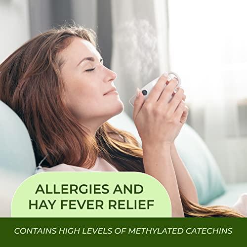 JAPANESE GREEN TEA CO. HARVESTED WITH IN JAPAN Benifuuki candy and Green tea bags (30 packs) from Japanese Green Tea Co – Relaxation Green Tea – Easy to Prepare - Non-GMO - Ideal for Tea Lovers