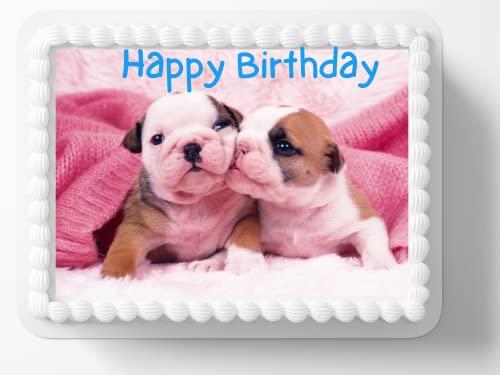 English bulldog cake best sale