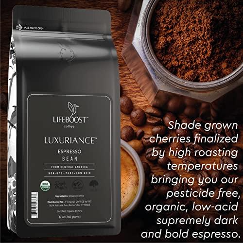 LIFEBOOST Lifeboost Coffee Espresso Whole Beans Coffee - Low Acid Single Origin USDA Organic Coffee - Non-GMO Espresso Coffee Third Party Tested For Mycotoxins & Pesticides (Espresso Whole Bean 12oz x 3 pack)