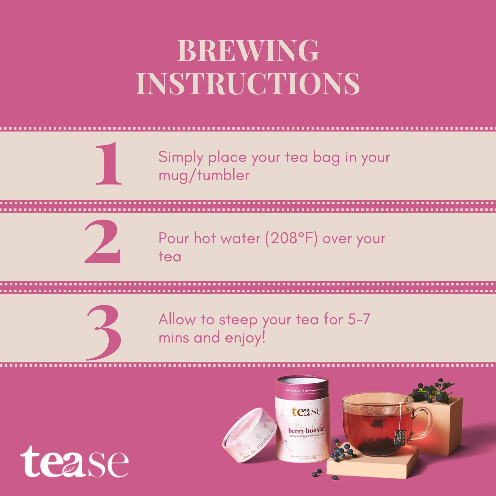 Tease Tease Tea Organic Tea Gift Set | 15 Piece Botanical Pyramid Tea Bag Infuser Sachets Luxury Wellness Tea Lovers Kit Loose Leaf Blend with Elderberry, Currant, Hibiscus Caffeine Free 37g (Berry Booster)