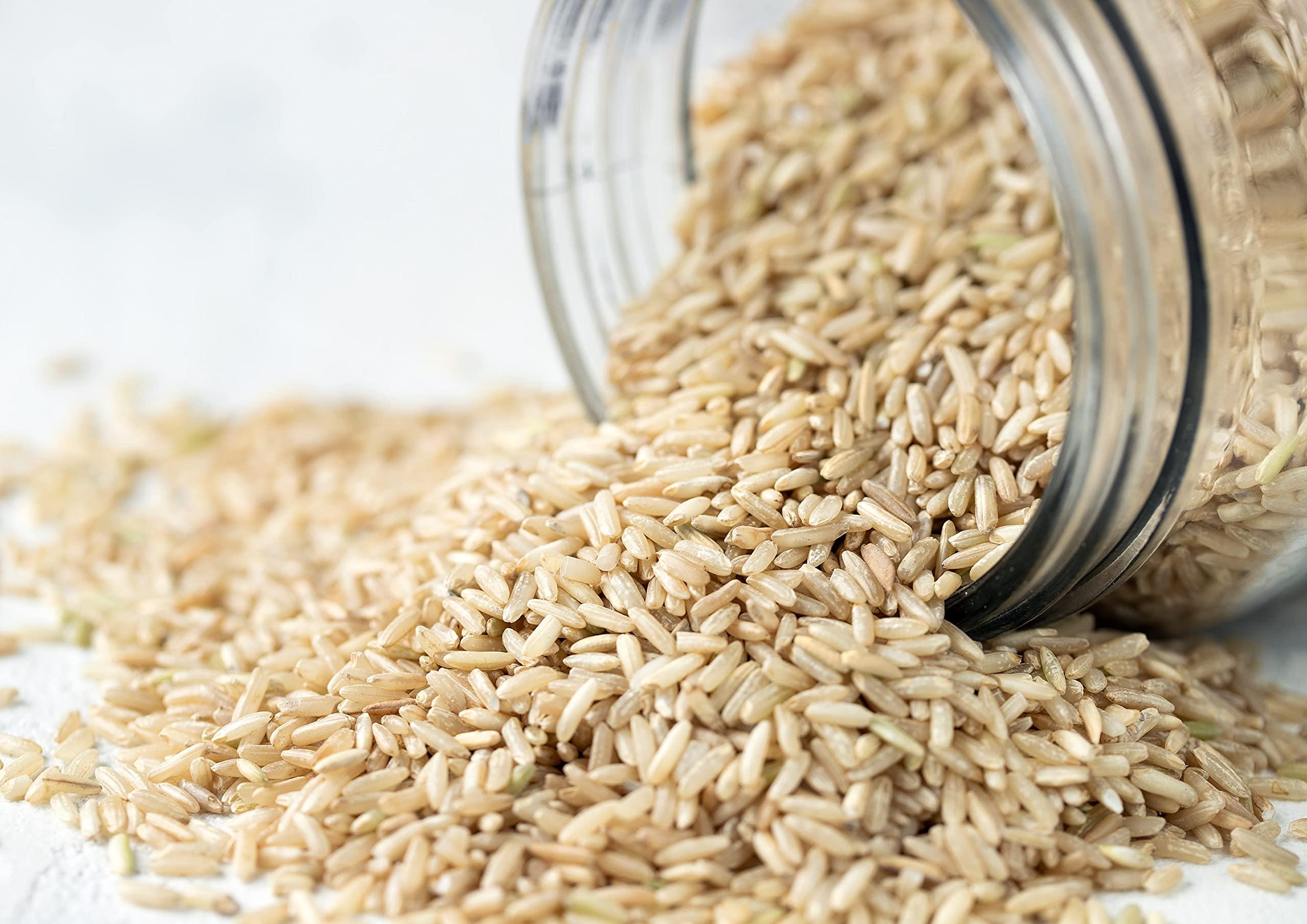 Food to Live Food to Live Jasmine Brown Rice, 1 Pound Whole-Grain and Long-Grain Thai Rice, Vegan, Kosher, Bulk. Higher in Fiber than White Jasmine Rice. Great as Side Dish