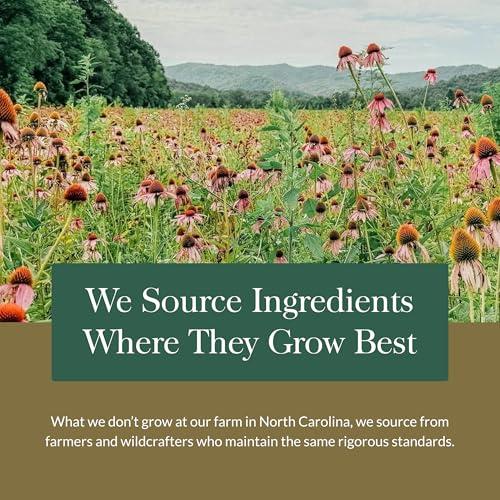 Gaia Herbs Gaia Herbs Gut Revival - Herbal Digestive Supplement to Support Gut Health - Made with Astragalus, Gotu Kola, Jujube & More - Free from Dairy, Soy & Gluten - 60 Vegan Capsules (60 Servings)