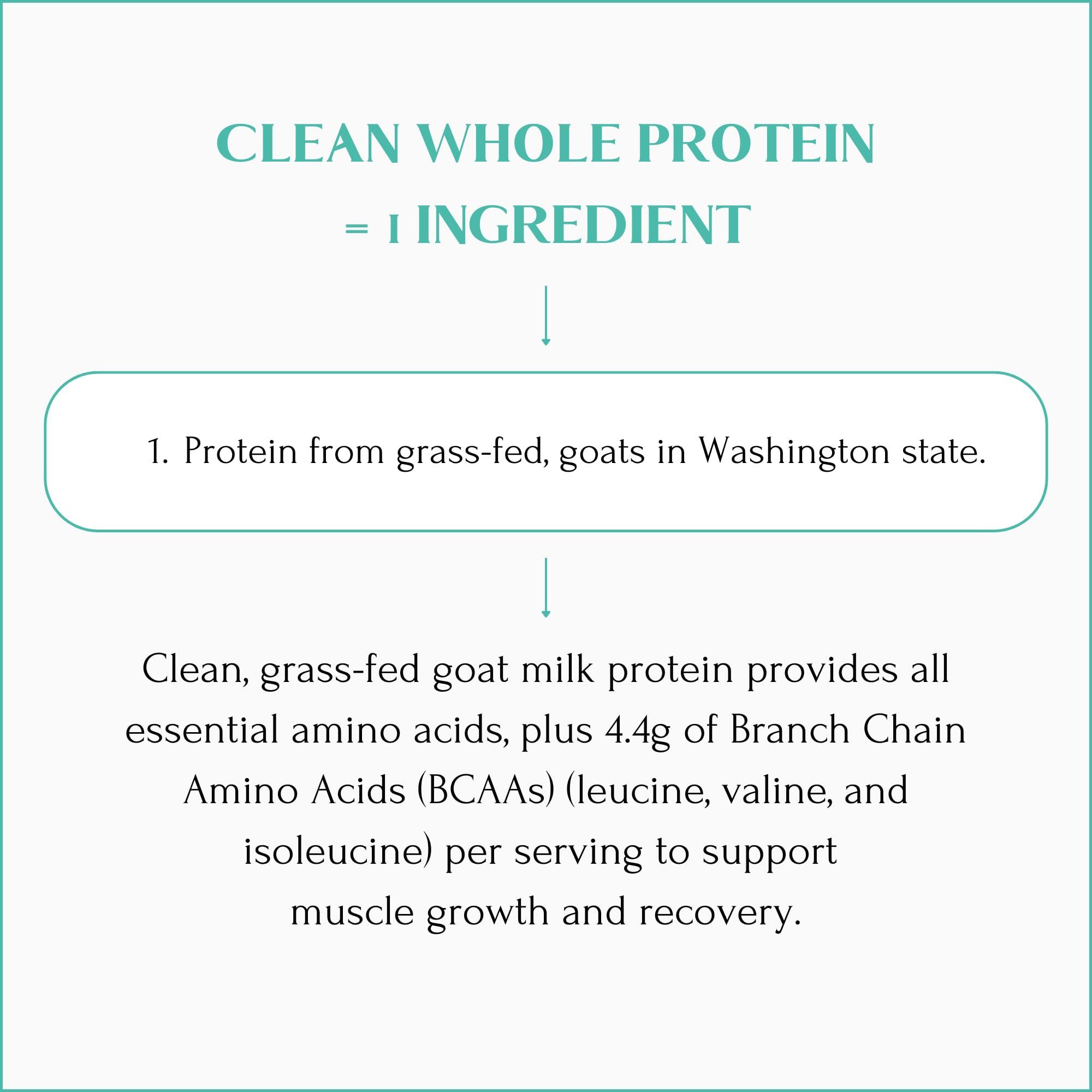 MT. CAPRA SINCE 1928 MT. CAPRA SINCE 1928 Clean Whole Protein | Grass-Fed Goat Protein with Whey and Casein Protein, No Bloat, Build and Maintain Muscle, 20 g Protein per Serving, No Sweeteners - 400 Grams