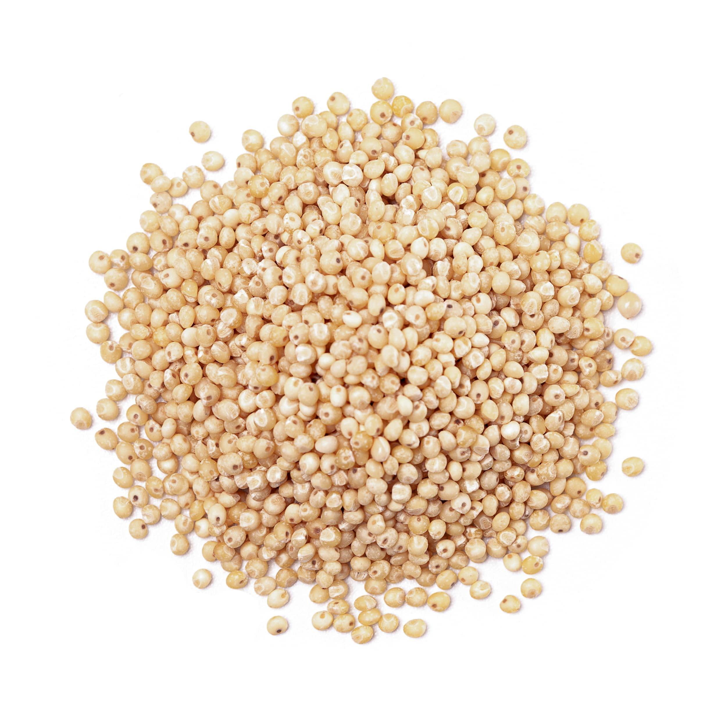 Food to Live Food to Live Gluten Free Organic Whole Grain Sorghum, 1 Pound Non-GMO White Groats. Raw Milo Seeds. Vegan, Bulk Broom-corn. Durra is Great for Making Flour and Popped Jowar Dhani. Made in USA