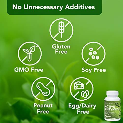 Vital Plan Vital Plan Active Enzymes Supplement by Dr. Bill Rawls - Digestive Enzymes for Gut Health & Digestion - Protease, Bromelain, Lactase, Amylase & Lipase (120 Capsules)