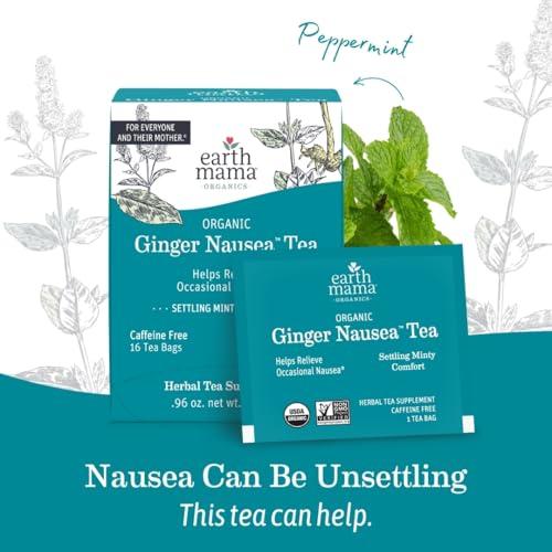Earth Mama Earth Mama Organic Ginger Nausea Tea | Comforts Occasional Nausea + Morning Sickness, 16 Teabags Per Box (6-Pack)