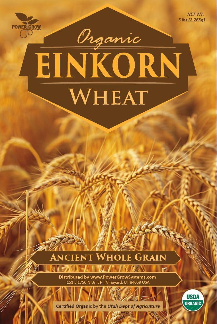 PowerGrow Systems Einkorn Wheat - 100% Certified Organic Einkorn Whole Wheat Grain by PowerGrow System - Use for Sourdough Baking, Milling Flour, Cereal, Salads, Pasta etc. (Einkorn Wheat (10 Pounds))
