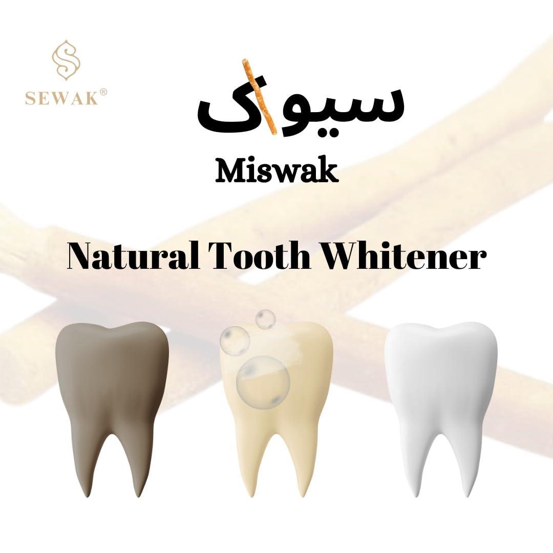 SEWAK SEWAK Miswak Sticks for Teeth Natural Toothbrush Organic Vegan and Cruelty Free Vacuum Sealed (Pack of 10)